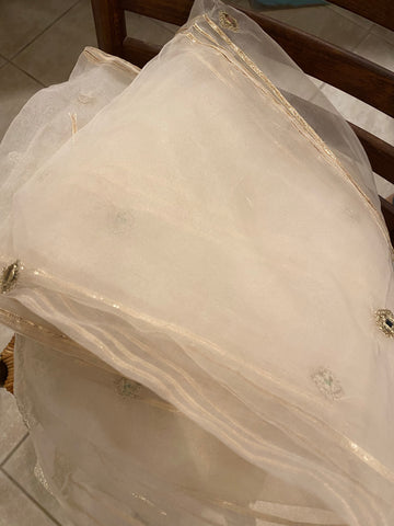 Desirack mirror work organza dupatta